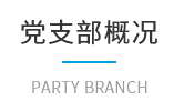 党支部概况.png