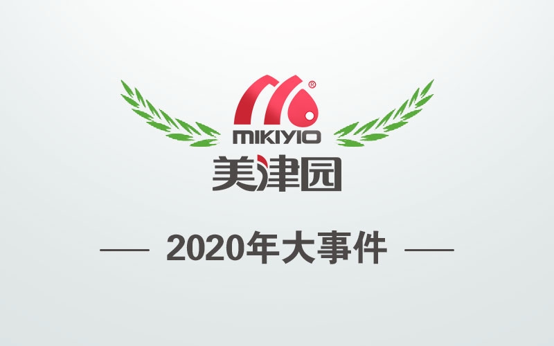 东方天润2020年大事件